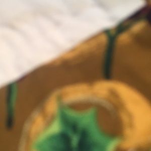 Meet your Posher, Lorena